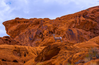 2015 Red Rock 21918-Edit