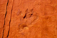 South Butte_31139