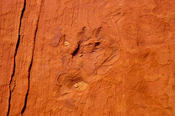 South Butte_31139
