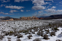 2017 Red Rock 33654