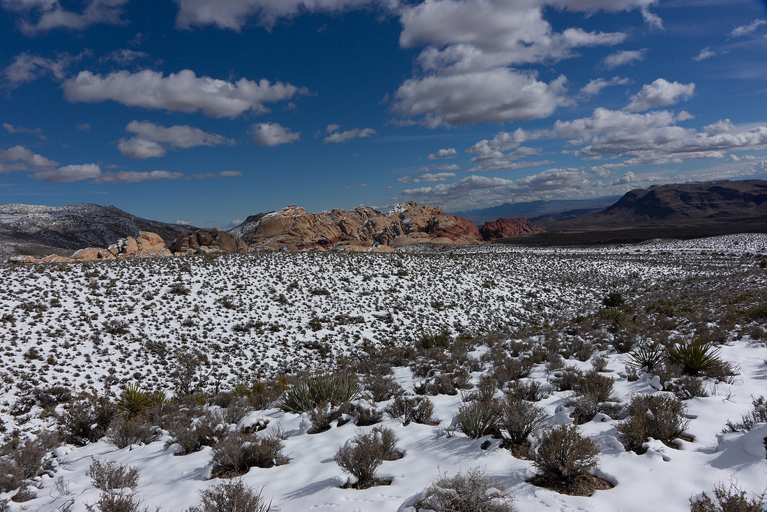 2017 Red Rock 33654