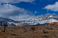 2017 Red Rock 33667