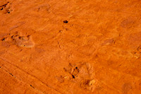 South Butte_31142