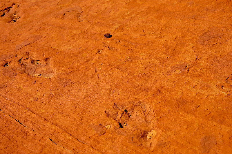 South Butte_31142