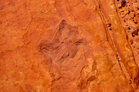 South Butte_31138