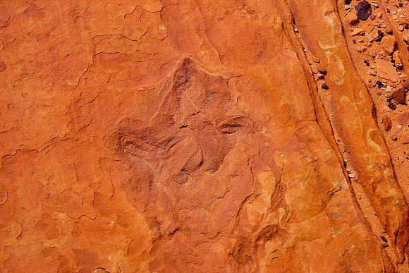 South Butte_31138