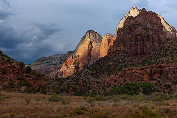 2014 Zion 19624