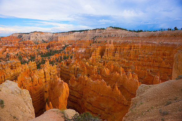 2014 Zion 20001