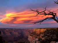 Arizona