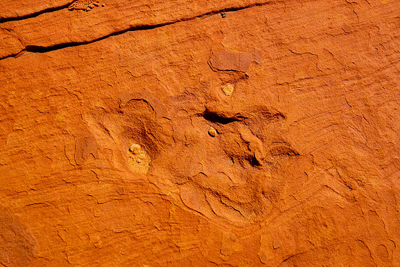 South Butte_31141