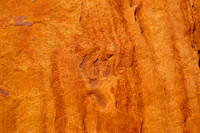 South Butte_31144