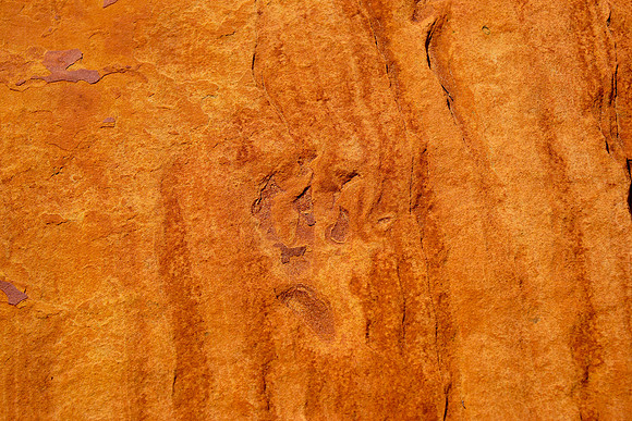 South Butte_31144