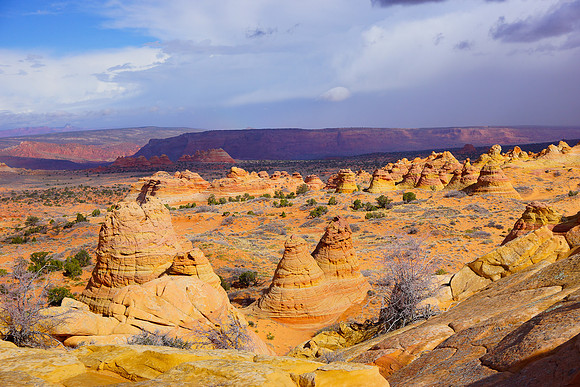 South Butte_31035