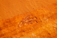 South Butte_31143